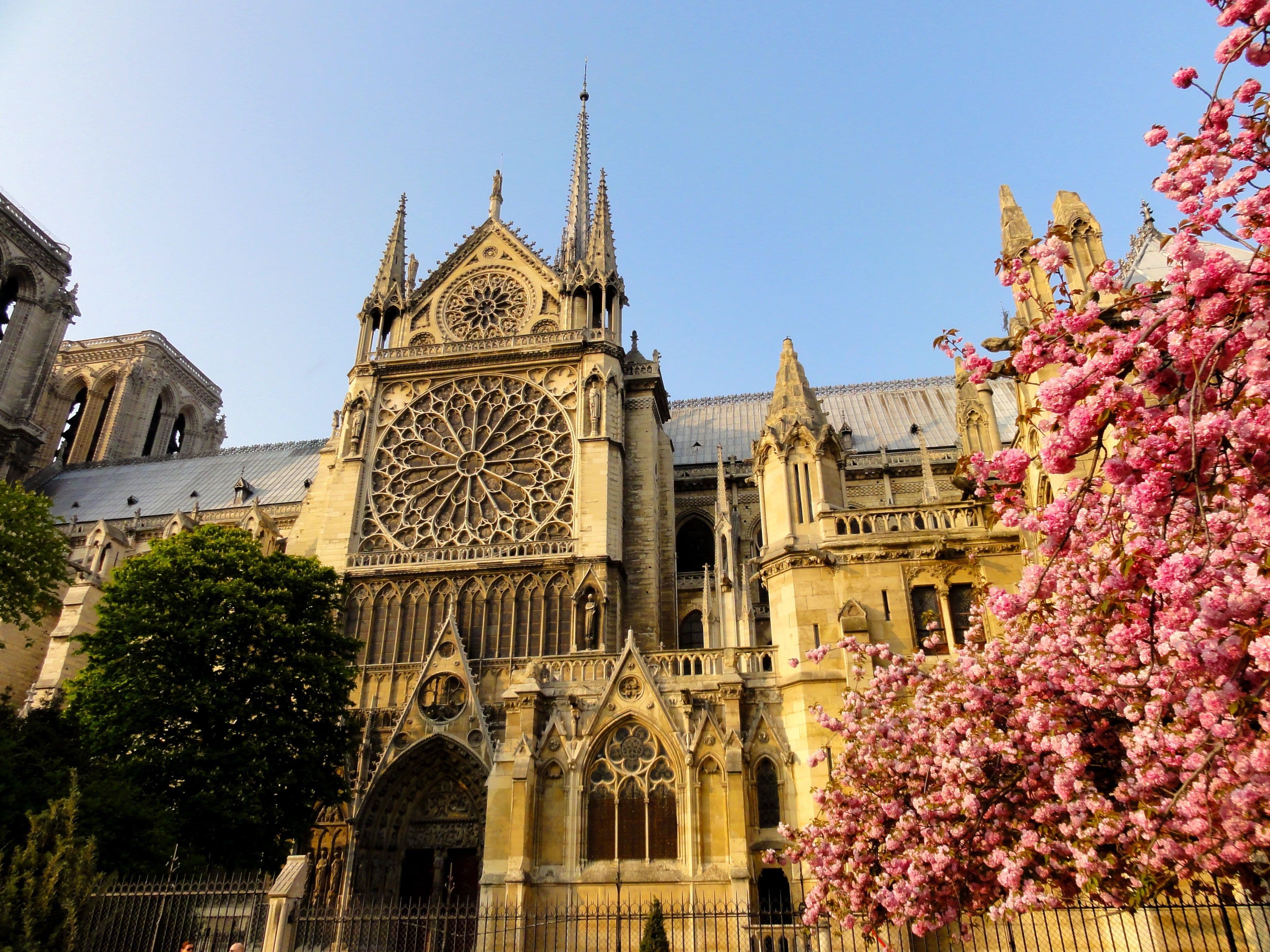 Notre Dame Paris: The Complete 2026 Visitor's Guide (Hours, Reservations, Mass Times & Best Tours)