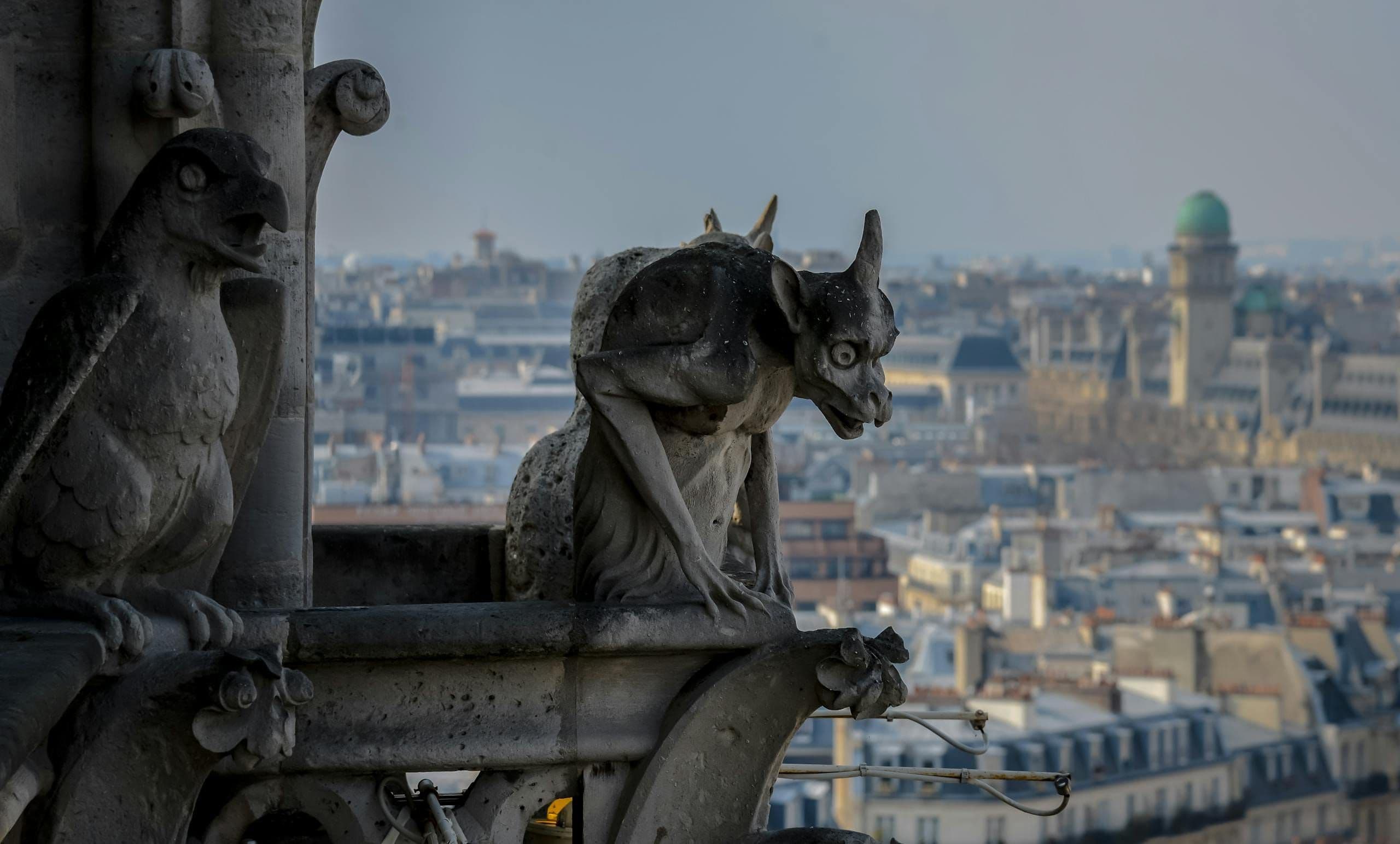 Notre Dame Paris Cathedral: A Complete 2025 Guide After Reopening