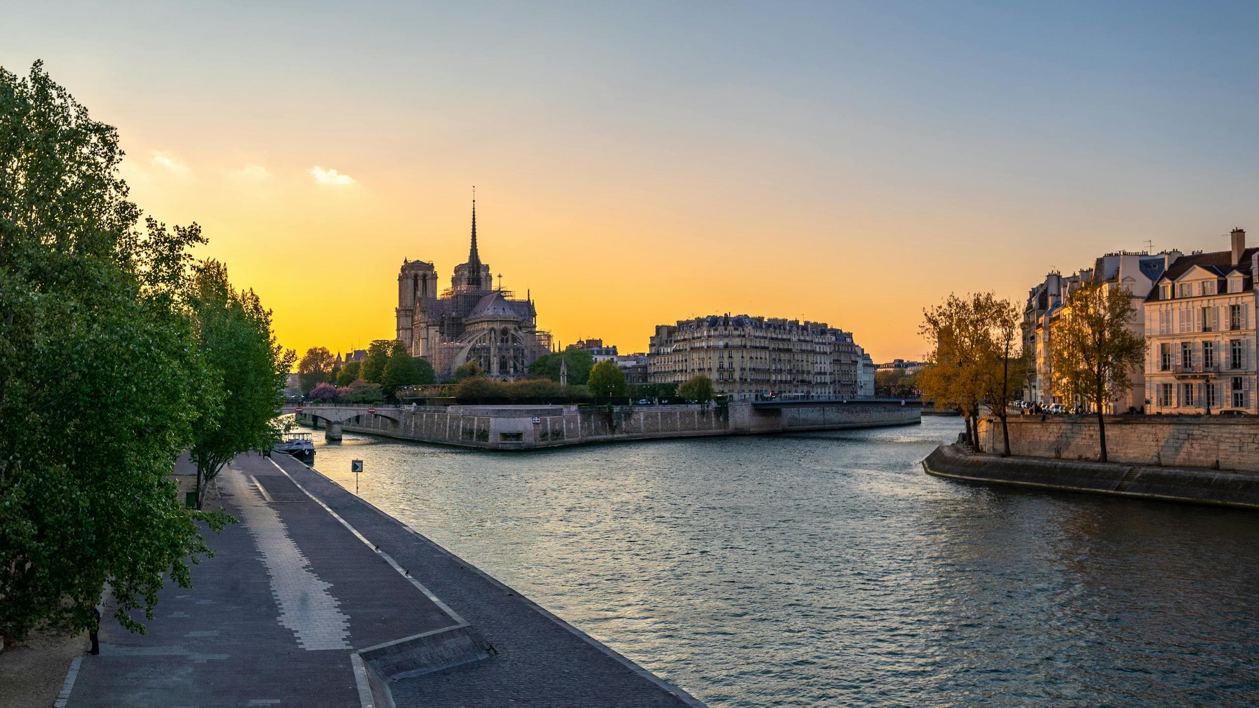 7 Secrets to Visit Notre Dame in January 2026: The Ultimate Jubilee Guide